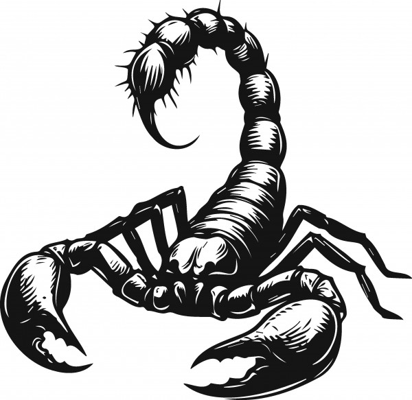 Скорпионы_159