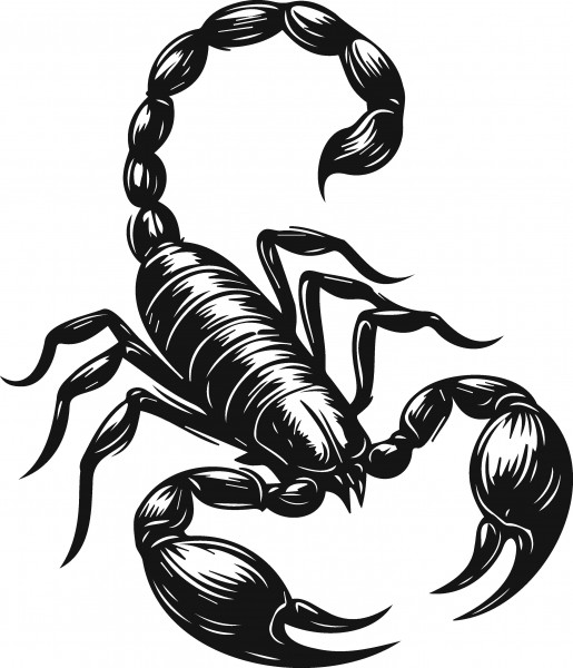 Скорпионы_144